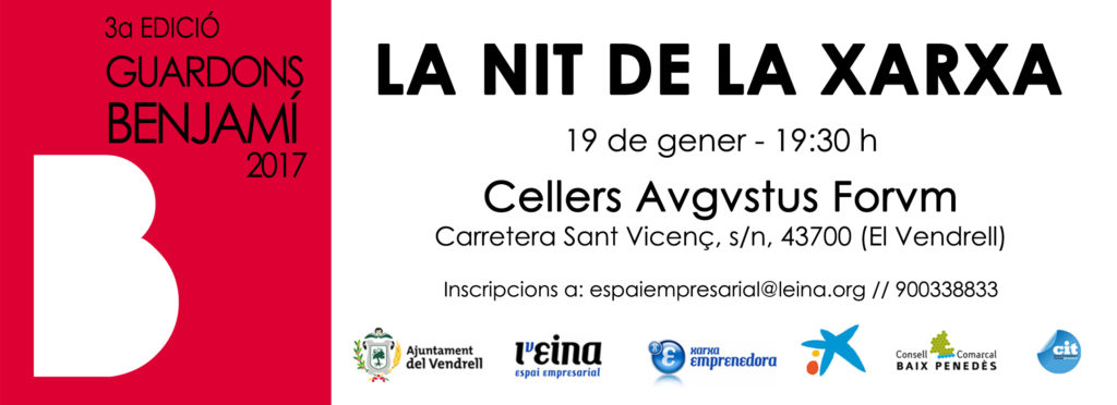 banner NIT XARXA 2017 facebook