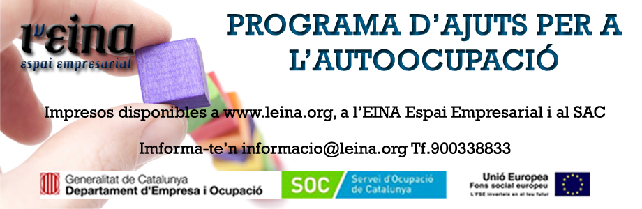 Subvencions públiques per al foment de l’autoocupació